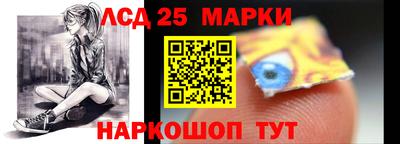 ГАЛЛЮЦИНОГЕННЫЕ ГРИБЫ Сланцы